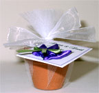 Flowerpot Favor